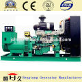 Paou 6135ZD Diesel Generator Set